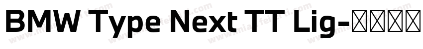BMW Type Next TT Lig字体转换
